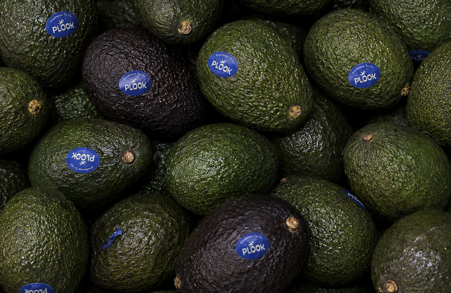 Fresh quality produce