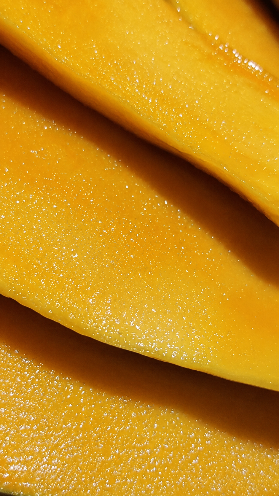 Nam Dok Mai mangoes