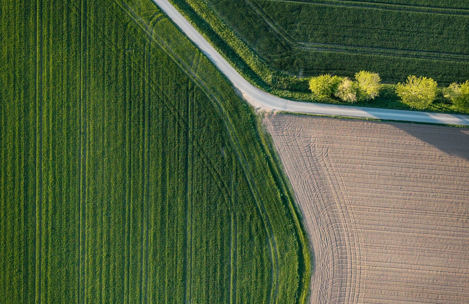 Aerial view of farm fields