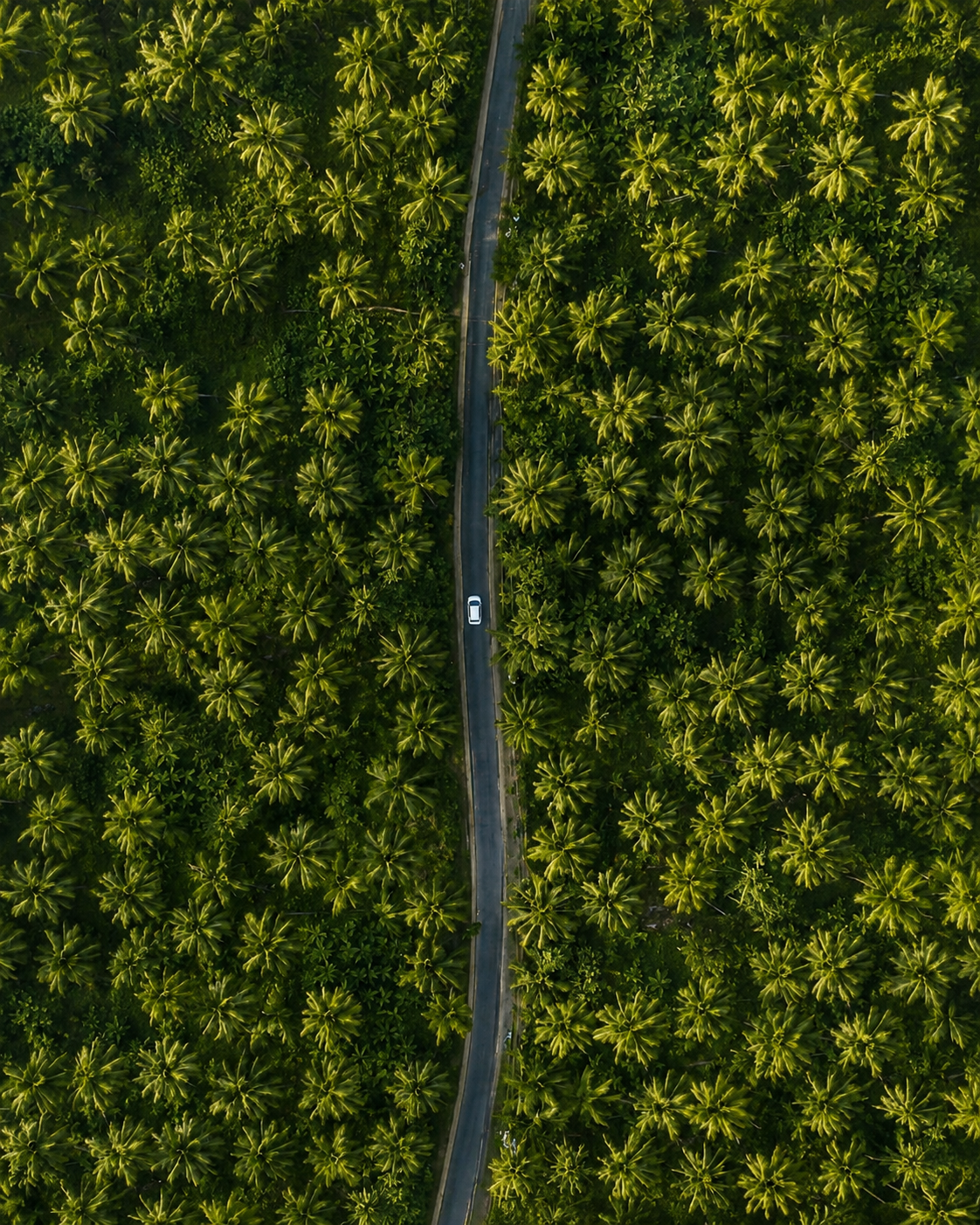 Aerial view of farm fields